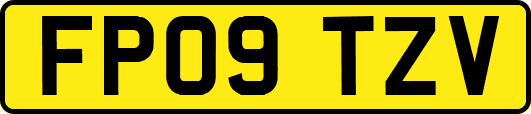 FP09TZV