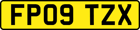 FP09TZX