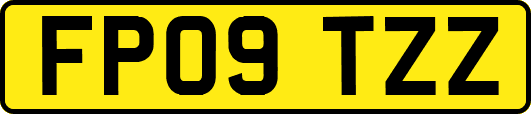 FP09TZZ
