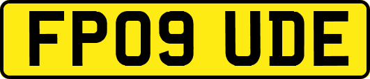 FP09UDE