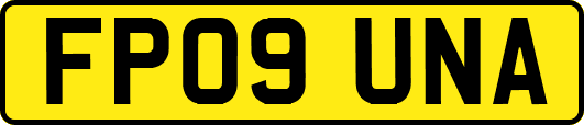 FP09UNA