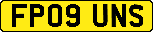 FP09UNS