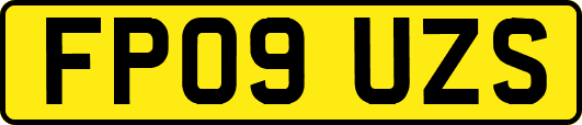 FP09UZS