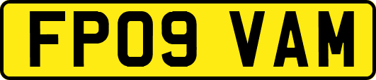 FP09VAM