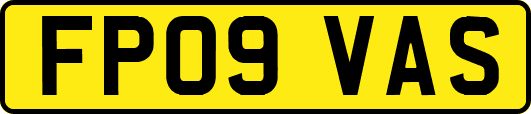 FP09VAS