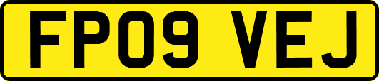FP09VEJ