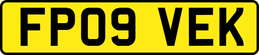 FP09VEK