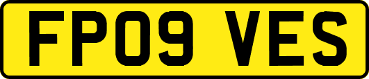 FP09VES