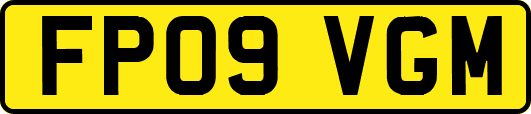 FP09VGM
