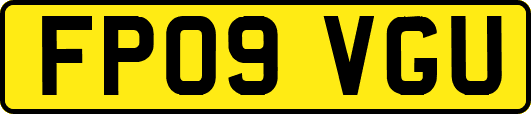 FP09VGU