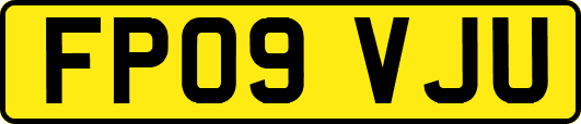 FP09VJU