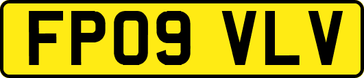 FP09VLV