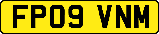 FP09VNM