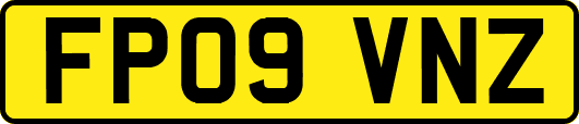 FP09VNZ