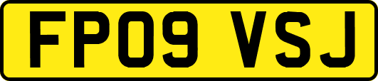 FP09VSJ