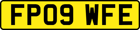 FP09WFE