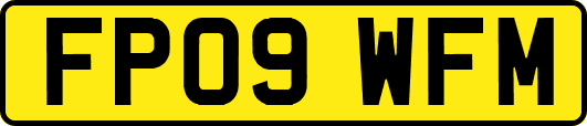 FP09WFM