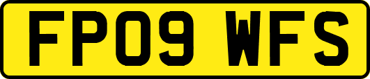 FP09WFS