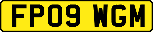 FP09WGM