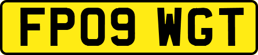 FP09WGT
