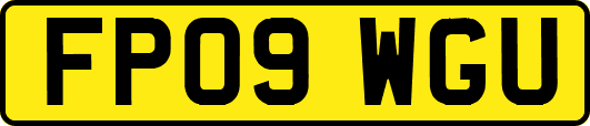 FP09WGU