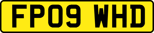 FP09WHD