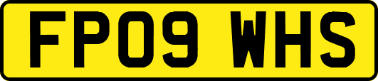 FP09WHS