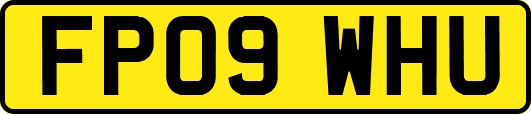FP09WHU