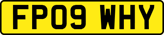 FP09WHY