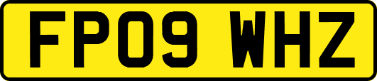 FP09WHZ