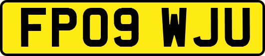 FP09WJU