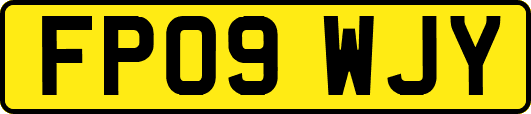 FP09WJY
