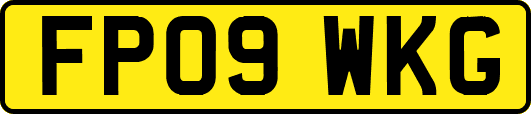 FP09WKG