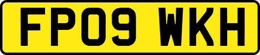 FP09WKH