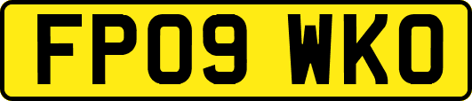 FP09WKO