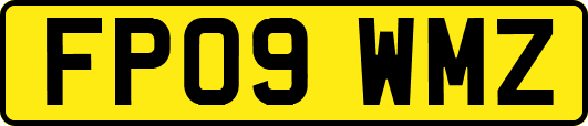 FP09WMZ