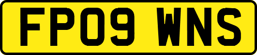 FP09WNS