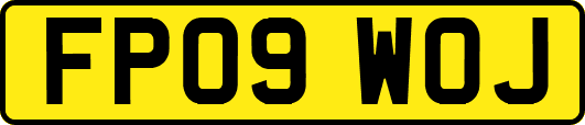 FP09WOJ