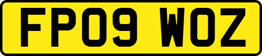 FP09WOZ
