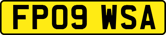 FP09WSA