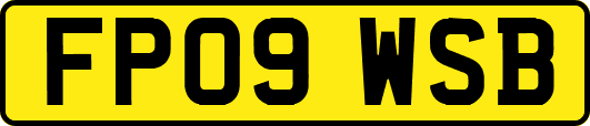 FP09WSB