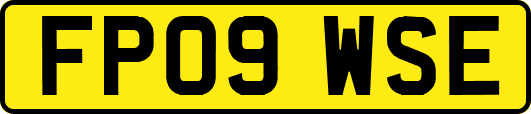 FP09WSE