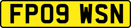 FP09WSN