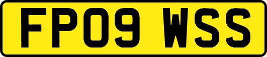 FP09WSS
