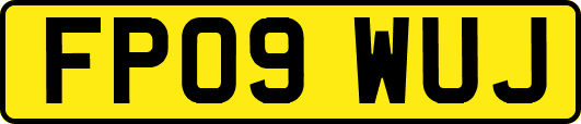 FP09WUJ