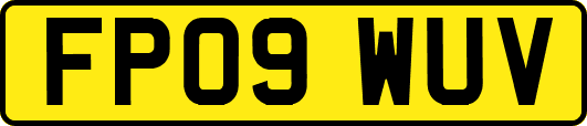 FP09WUV