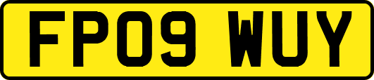 FP09WUY