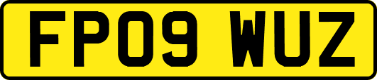 FP09WUZ