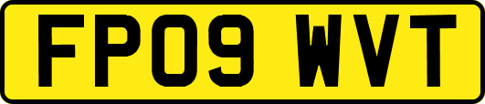 FP09WVT