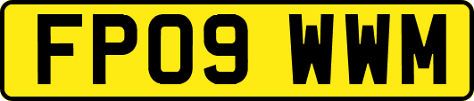 FP09WWM